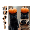 背景が動く★秋を感じる黒猫__挨拶・日常（個別スタンプ：1）