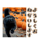 背景が動く★秋を感じる黒猫__挨拶・日常（個別スタンプ：6）