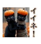 背景が動く★秋を感じる黒猫__挨拶・日常（個別スタンプ：12）