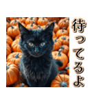 背景が動く★秋を感じる黒猫__挨拶・日常（個別スタンプ：23）