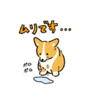 今日もコーギーが可愛い3（個別スタンプ：2）