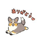 今日もコーギーが可愛い3（個別スタンプ：3）