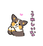 今日もコーギーが可愛い3（個別スタンプ：5）