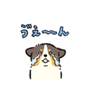 今日もコーギーが可愛い3（個別スタンプ：6）