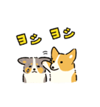 今日もコーギーが可愛い3（個別スタンプ：9）