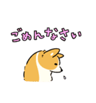 今日もコーギーが可愛い3（個別スタンプ：11）