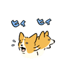 今日もコーギーが可愛い3（個別スタンプ：14）