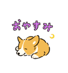 今日もコーギーが可愛い3（個別スタンプ：16）