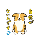 今日もコーギーが可愛い3（個別スタンプ：18）