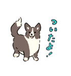 今日もコーギーが可愛い3（個別スタンプ：19）