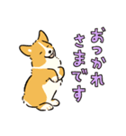 今日もコーギーが可愛い3（個別スタンプ：24）