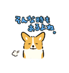 今日もコーギーが可愛い3（個別スタンプ：25）