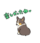 今日もコーギーが可愛い3（個別スタンプ：27）