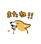 今日もコーギーが可愛い3（個別スタンプ：28）