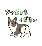 今日もコーギーが可愛い3（個別スタンプ：29）
