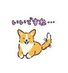 今日もコーギーが可愛い3（個別スタンプ：30）