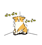 今日もコーギーが可愛い3（個別スタンプ：33）