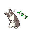 今日もコーギーが可愛い3（個別スタンプ：34）