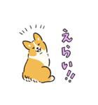 今日もコーギーが可愛い3（個別スタンプ：35）