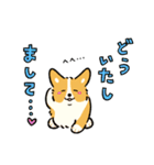 今日もコーギーが可愛い3（個別スタンプ：36）