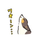 今日もコーギーが可愛い3（個別スタンプ：38）