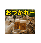 飛び出す！夏のネコたちにゃんだふる～♪（個別スタンプ：5）