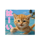 飛び出す！夏のネコたちにゃんだふる～♪（個別スタンプ：8）