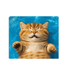 飛び出す！夏のネコたちにゃんだふる～♪（個別スタンプ：10）