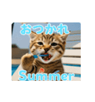 飛び出す！夏のネコたちにゃんだふる～♪（個別スタンプ：11）