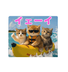 飛び出す！夏のネコたちにゃんだふる～♪（個別スタンプ：12）