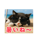 飛び出す！夏のネコたちにゃんだふる～♪（個別スタンプ：13）