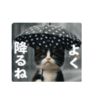 飛び出す！夏のネコたちにゃんだふる～♪（個別スタンプ：18）