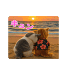 飛び出す！夏のネコたちにゃんだふる～♪（個別スタンプ：21）