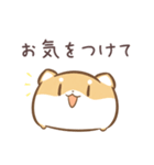 だにゃこ7～日常で使える～（個別スタンプ：3）