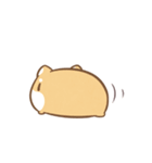 だにゃこ7～日常で使える～（個別スタンプ：24）