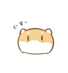 だにゃこ7～日常で使える～（個別スタンプ：34）