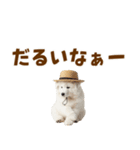 毎日使える♪サモエド子犬スタンプ（個別スタンプ：25）