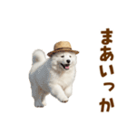 毎日使える♪サモエド子犬スタンプ（個別スタンプ：36）