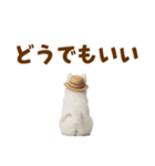 毎日使える♪サモエド子犬スタンプ（個別スタンプ：37）