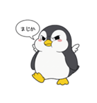 まじかペンギン（個別スタンプ：12）