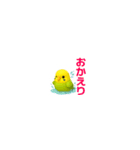 【超小さい】セキセイインコスタンプ（個別スタンプ：11）