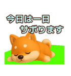 【敬語】ずっと使える柴犬スタンプ（個別スタンプ：30）