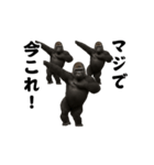 踊る！今これ界隈/マウンテンゴリラ（個別スタンプ：24）