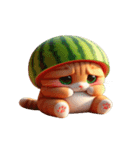 夏を涼しくするスイカ猫,（個別スタンプ：5）