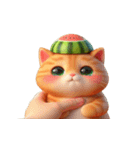 夏を涼しくするスイカ猫,（個別スタンプ：9）