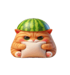 スイカをかぶった癒し系かわいい猫（個別スタンプ：25）