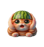 スイカをかぶった癒し系かわいい猫（個別スタンプ：29）