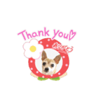 アイ♡スムチー  アニメーション（個別スタンプ：3）
