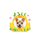 アイ♡スムチー  アニメーション（個別スタンプ：5）