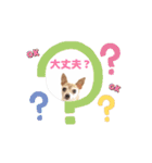 アイ♡スムチー  アニメーション（個別スタンプ：9）